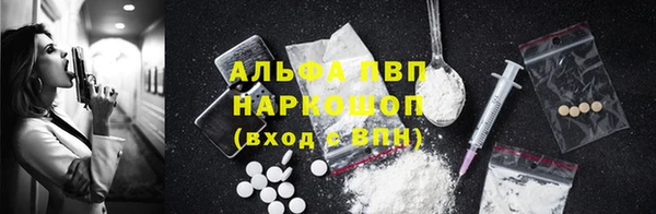 прущие грибы Богданович