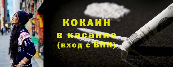 прущие грибы Богданович