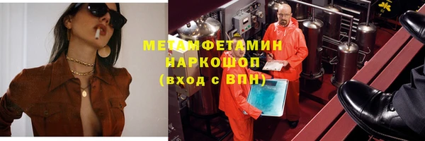 прущие грибы Богданович