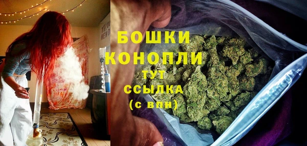 таблы Богородицк