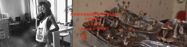 метадон Богородск