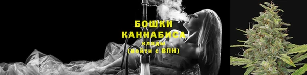 таблы Богородицк