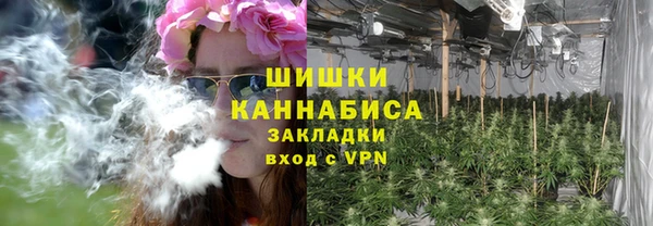 прущие грибы Богданович