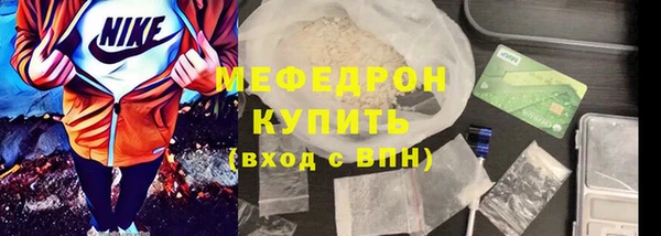 прущие грибы Богданович