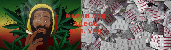 прущие грибы Богданович
