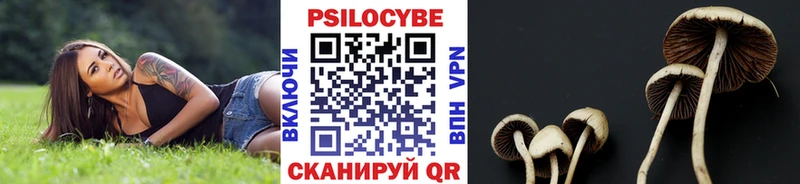 мега как войти  где продают   Дудинка  Галлюциногенные грибы MAGIC MUSHROOMS 